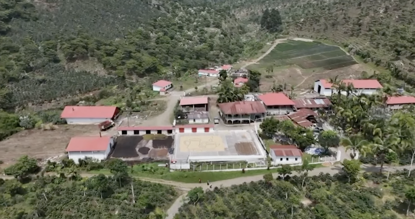 Guatemalan coffee, best Guatemalan coffee, Guatemalan coffee beans, single-origin Guatemalan coffee, Guatemalan coffee flavor, Guatemalan coffee taste, Guatemalan coffee reviews, buy Guatemalan coffee, organic Guatemalan coffee, fair trade Guatemalan coffee, Guatemalan coffee brands, Guatemalan coffee regions, volcanic soil coffee, Guatemalan coffee growers, high altitude coffee, specialty Guatemalan coffee, Guatemalan coffee farm, Guatemalan coffee roasters, Guatemalan coffee exporters, premium Guatemalan coffee, Guatemalan coffee varieties, Guatemalan espresso, Guatemalan drip coffee, Guatemalan coffee pods, Guatemalan coffee subscription, Guatemalan coffee online, Guatemalan coffee near me, Guatemalan coffee history, Guatemalan coffee culture, Guatemalan coffee benefits, fresh Guatemalan coffee, Guatemalan coffee aroma, Guatemalan coffee notes, Guatemalan coffee brewing, Guatemalan coffee guide, Guatemalan coffee tips, authentic Guatemalan coffee, Guatemalan coffee gift, Guatemalan coffee pack, Guatemalan coffee shop, Guatemalan coffee taste test, Guatemalan coffee profile, hand-picked Guatemalan coffee, Guatemalan coffee flavors, unique Guatemalan coffee, Guatemalan coffee suppliers, best coffee from Guatemala, Coffee beans, Coffee, Guatemala, Guatemalan, best espresso machines, best coffee shop in Guatemala,